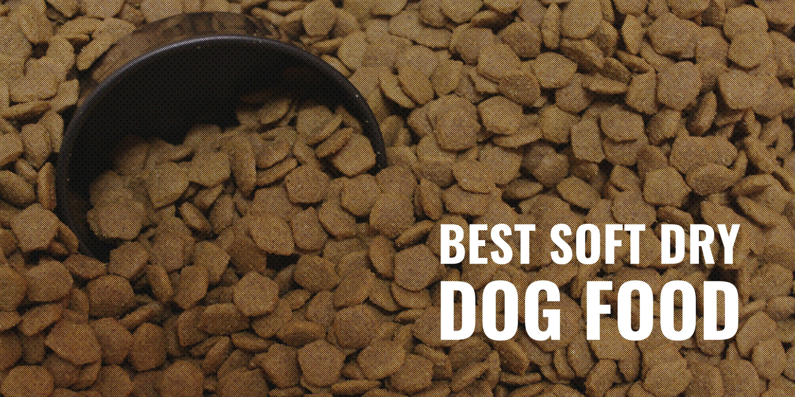 best-soft-dry-dog-food-scaled
